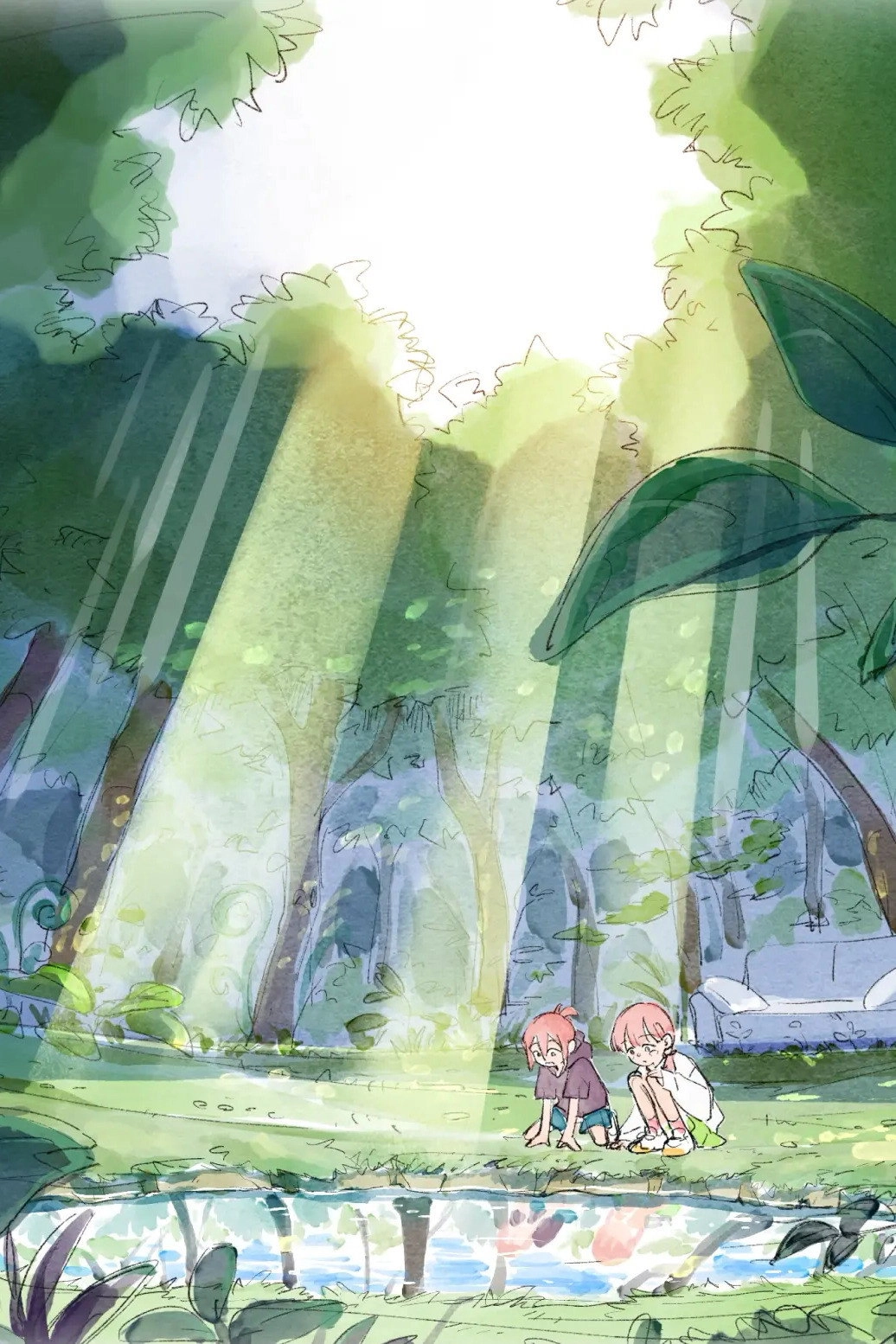 The Land of NOMO
