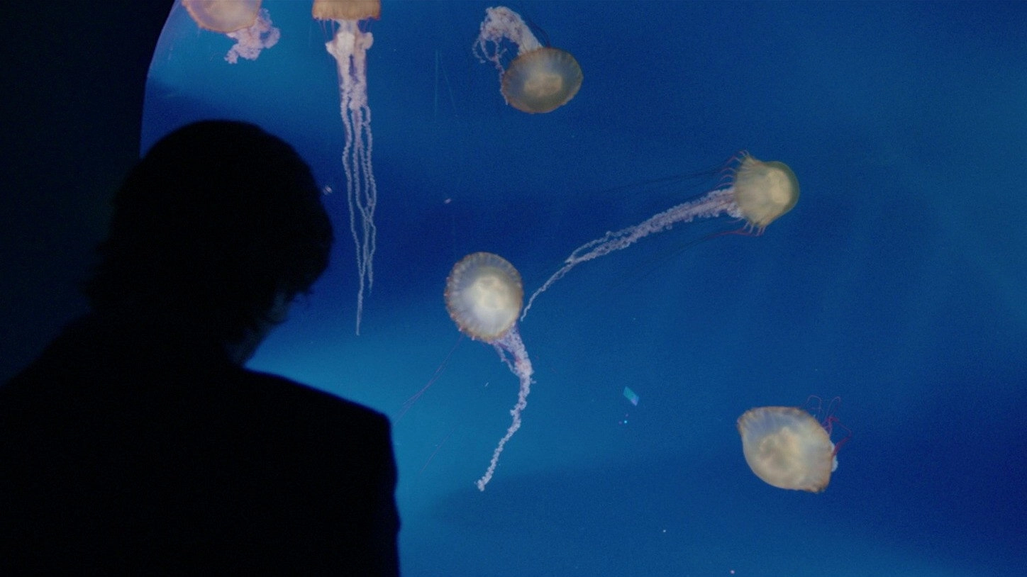 Knight of Cups