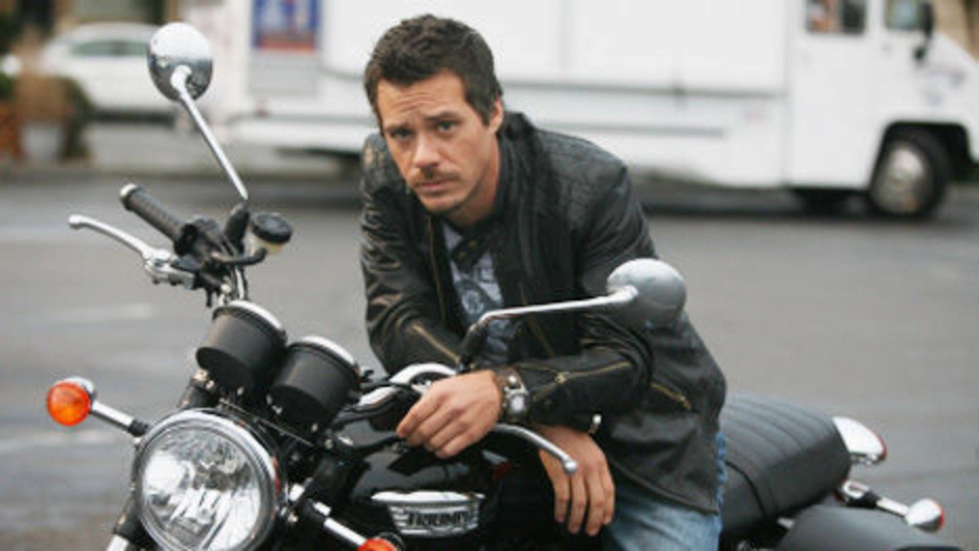 Terriers
