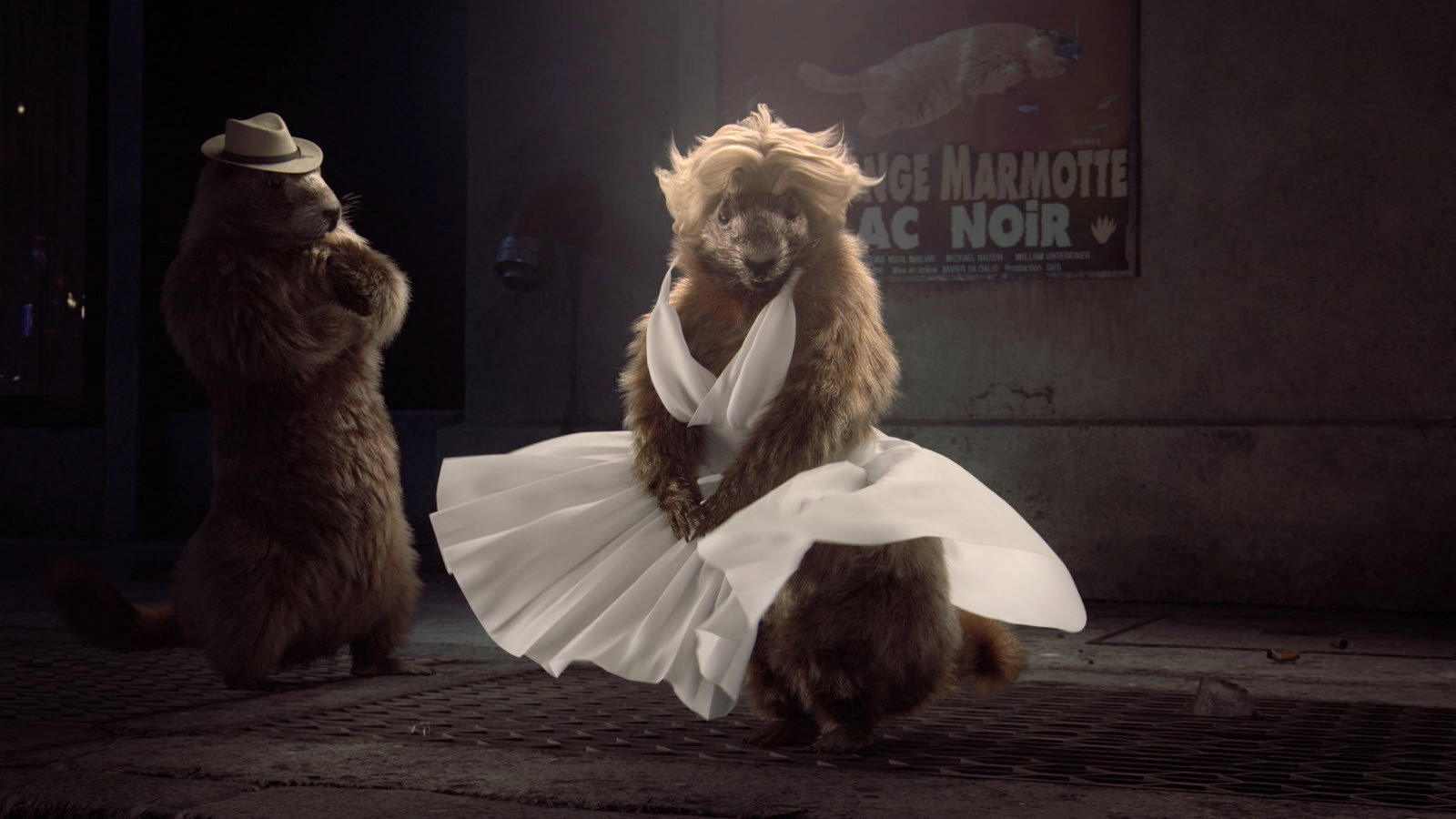 Les Marmottes