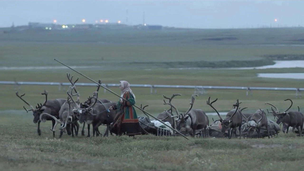 Russian Gas and the Nenets