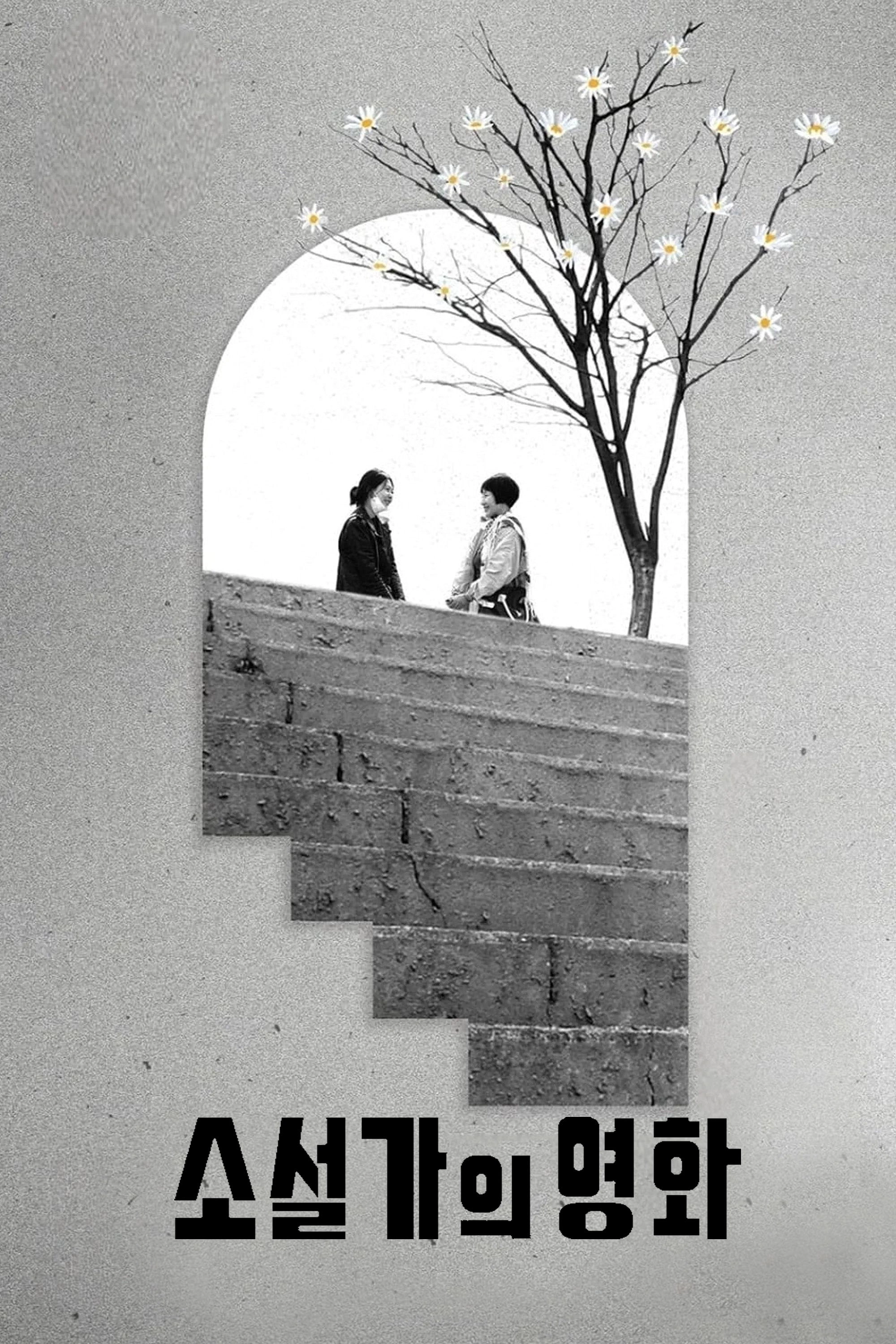 The Novelist's Film