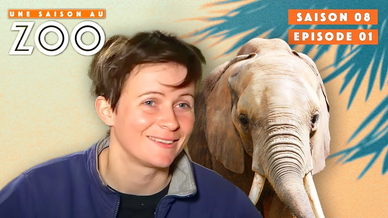 Une saison au zoo