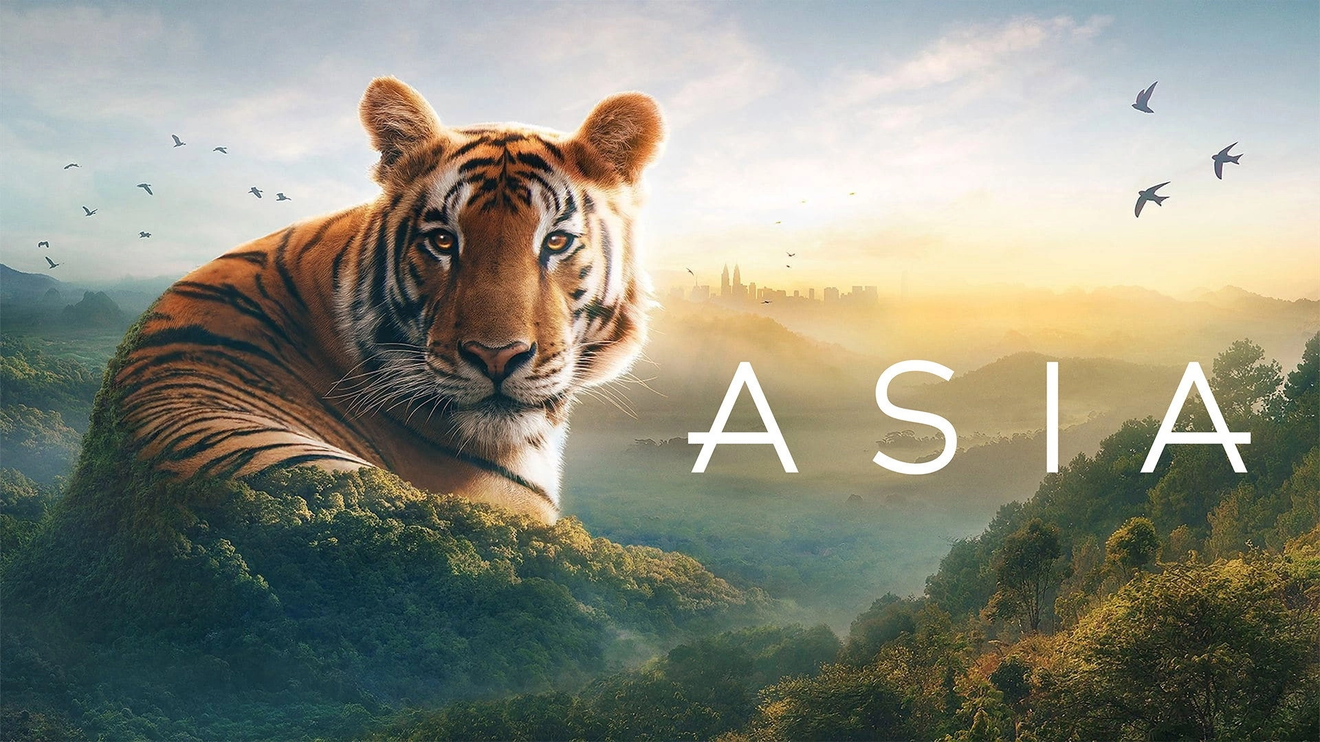 Asia