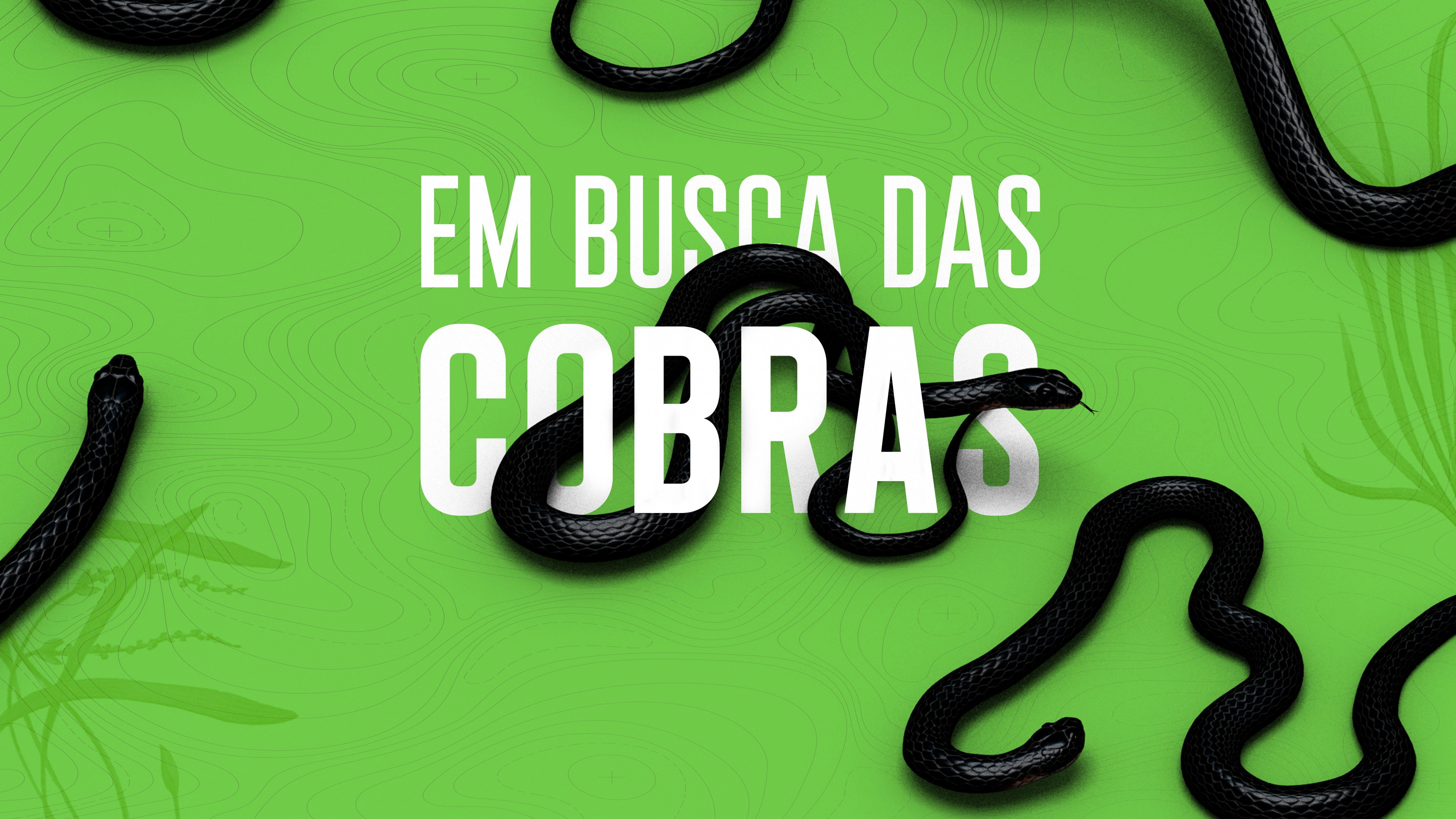 Rato, Vini and Snakes