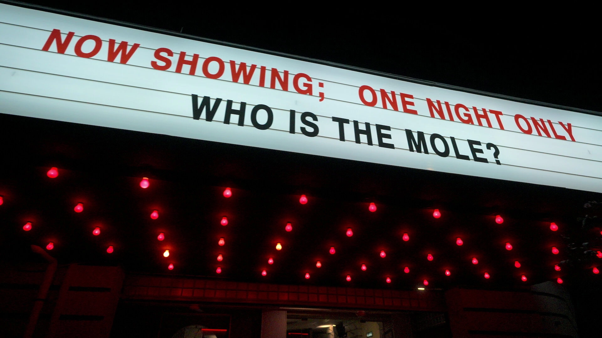 The Mole