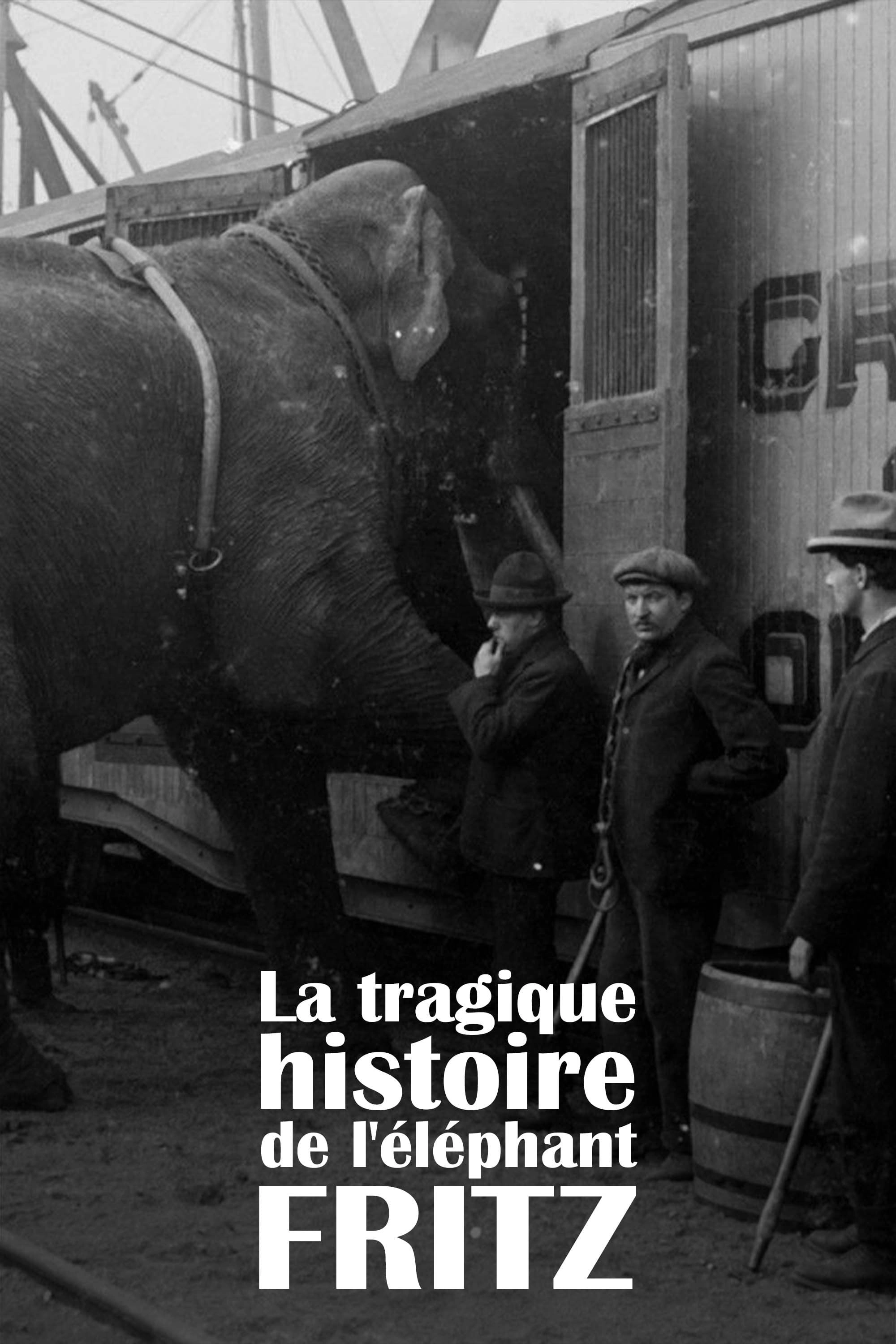 The Tragic Story of Fritz the Elephant