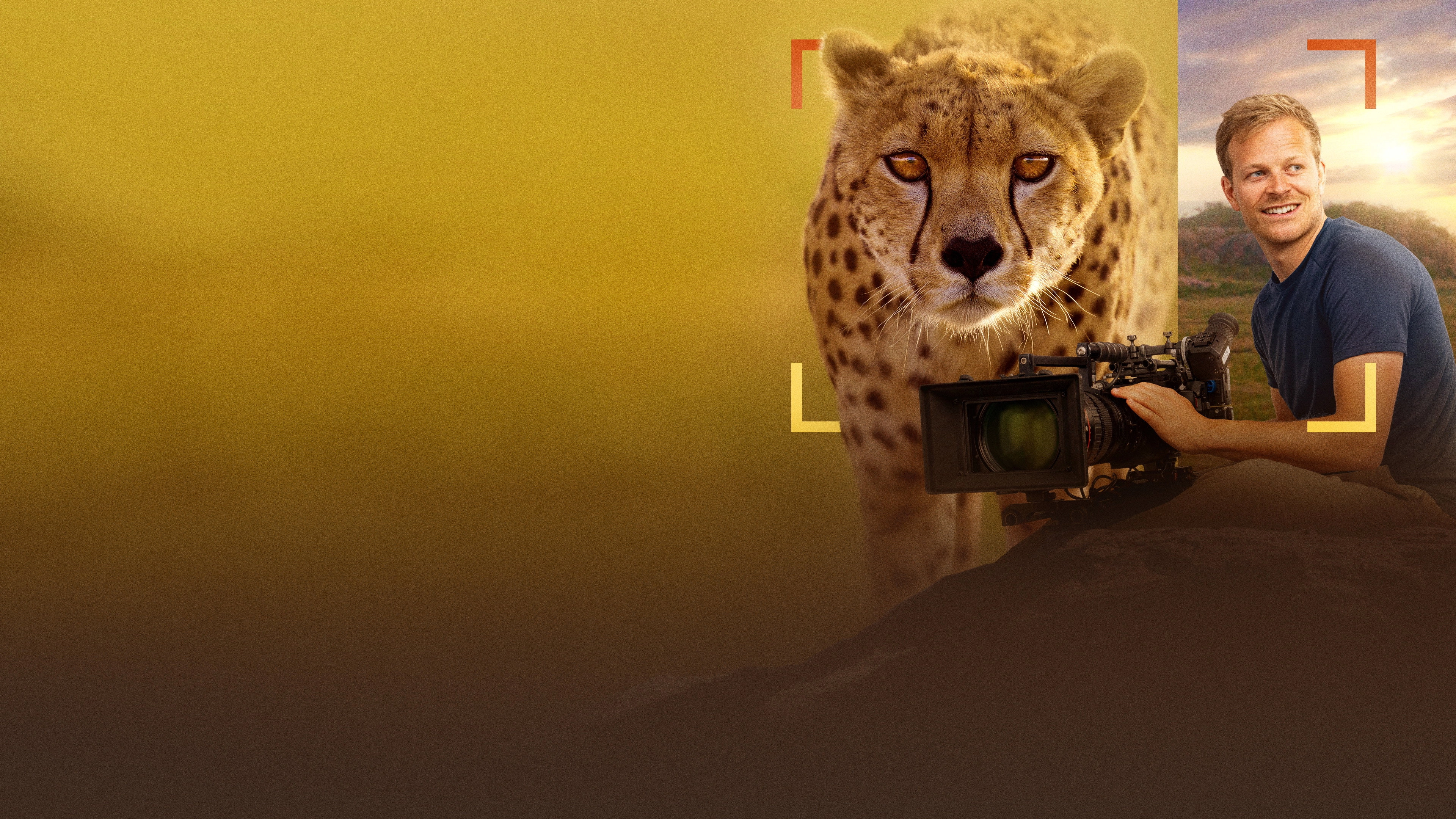 Cheetahs Up Close with Bertie Gregory