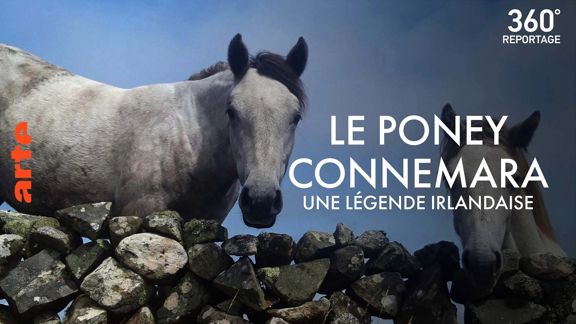 360° Reportage