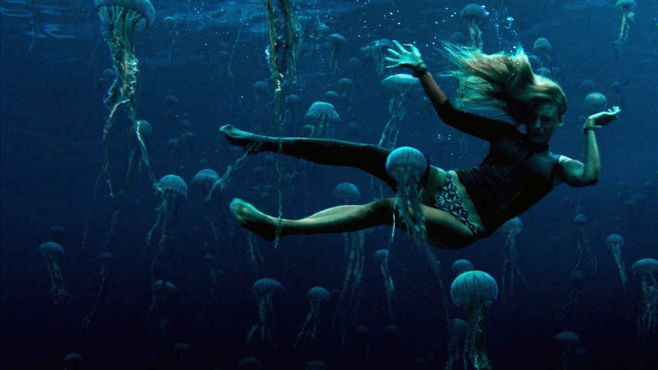 The Shallows