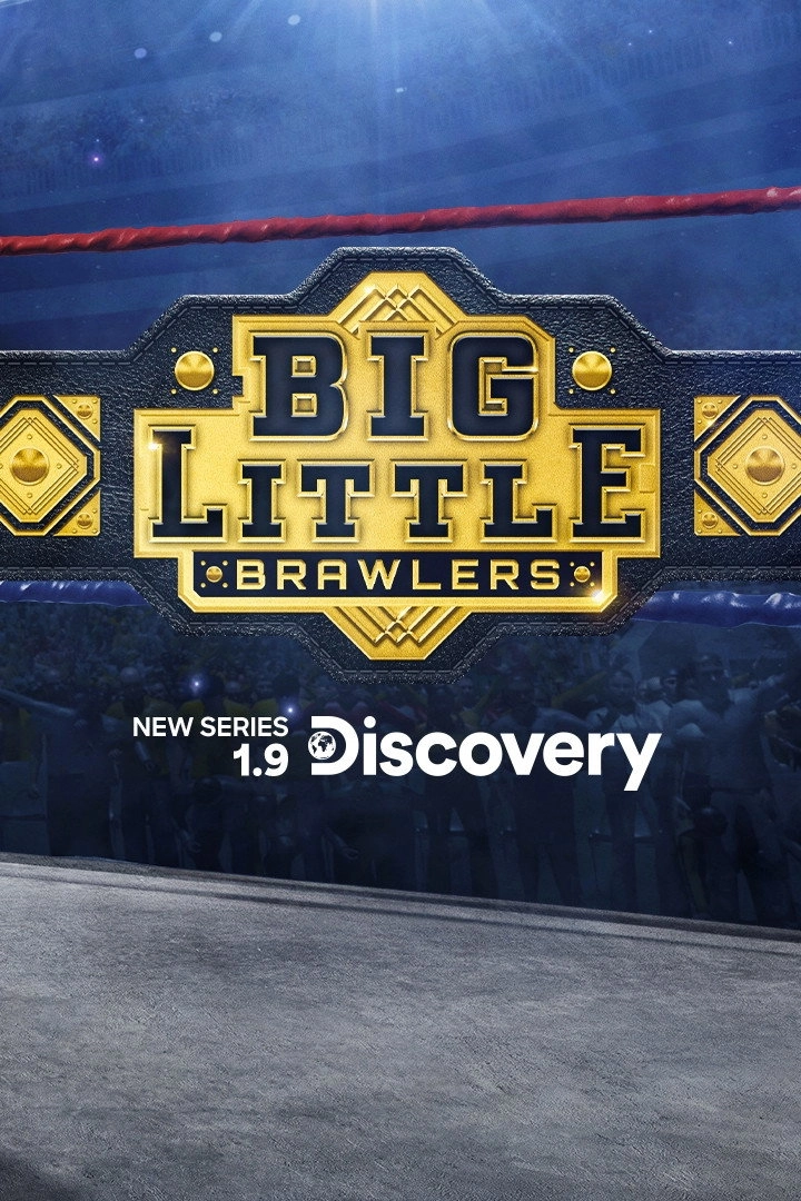 Big Little Brawlers