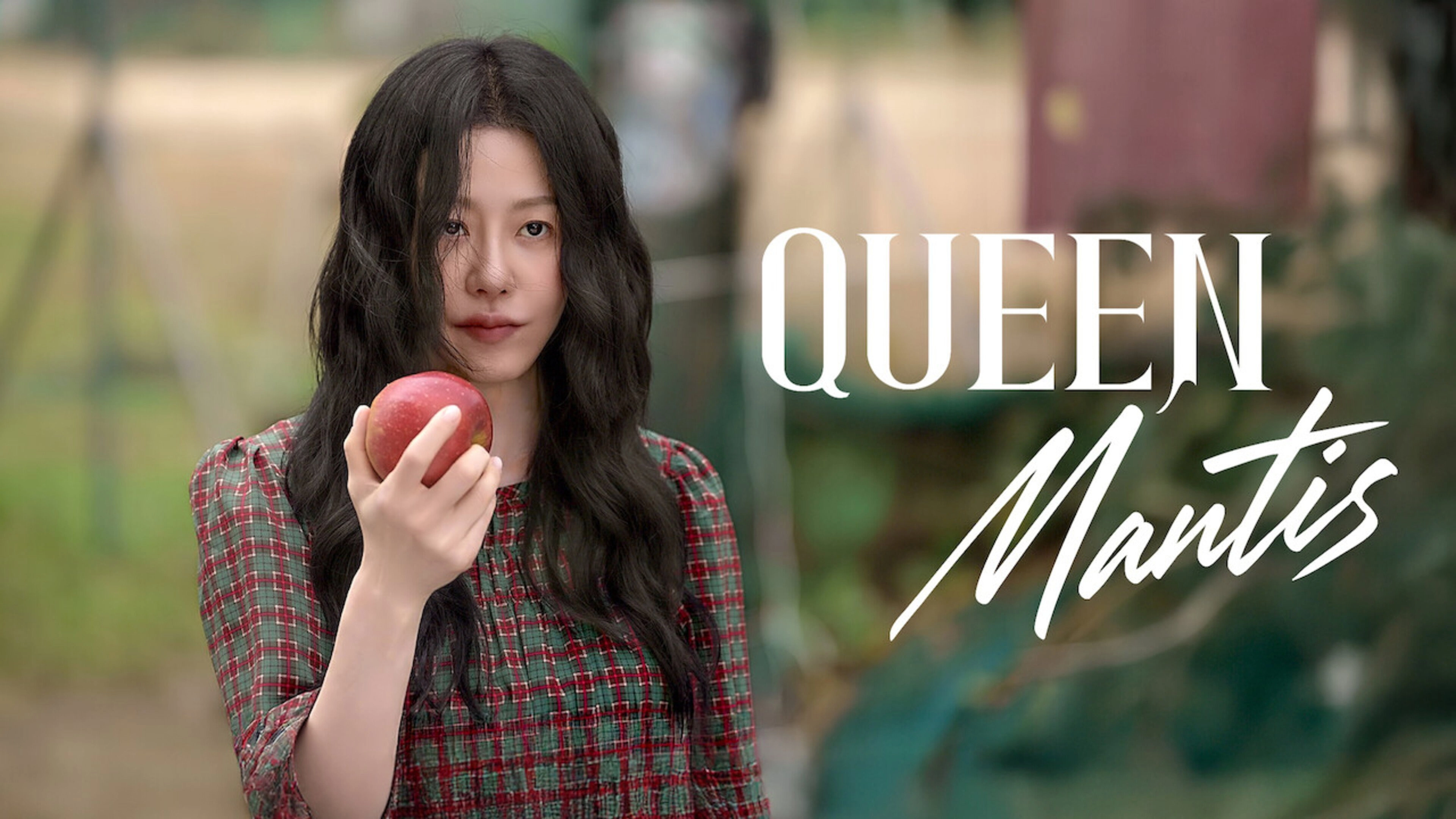 Queen Mantis
