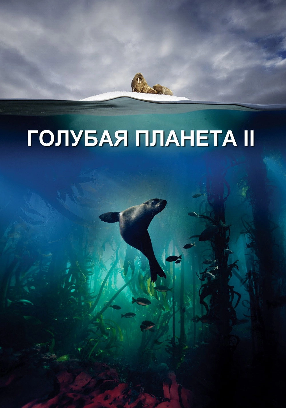 Blue Planet II