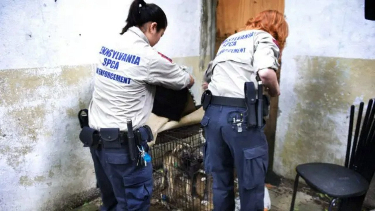 Animal Cops: Philadelphia