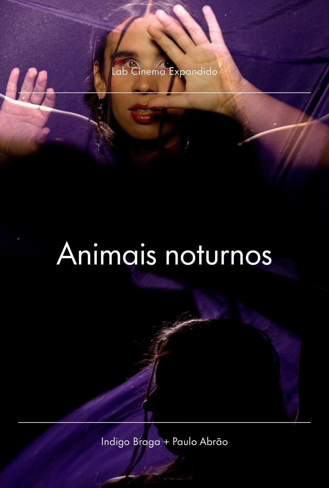 Nocturnal Animals