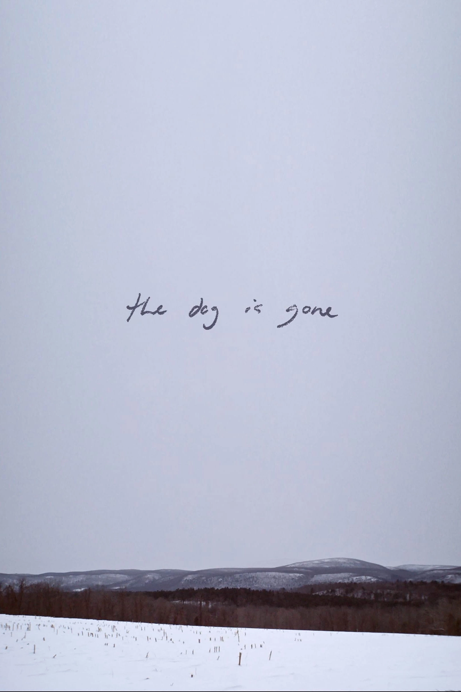 The Dog Is Gone