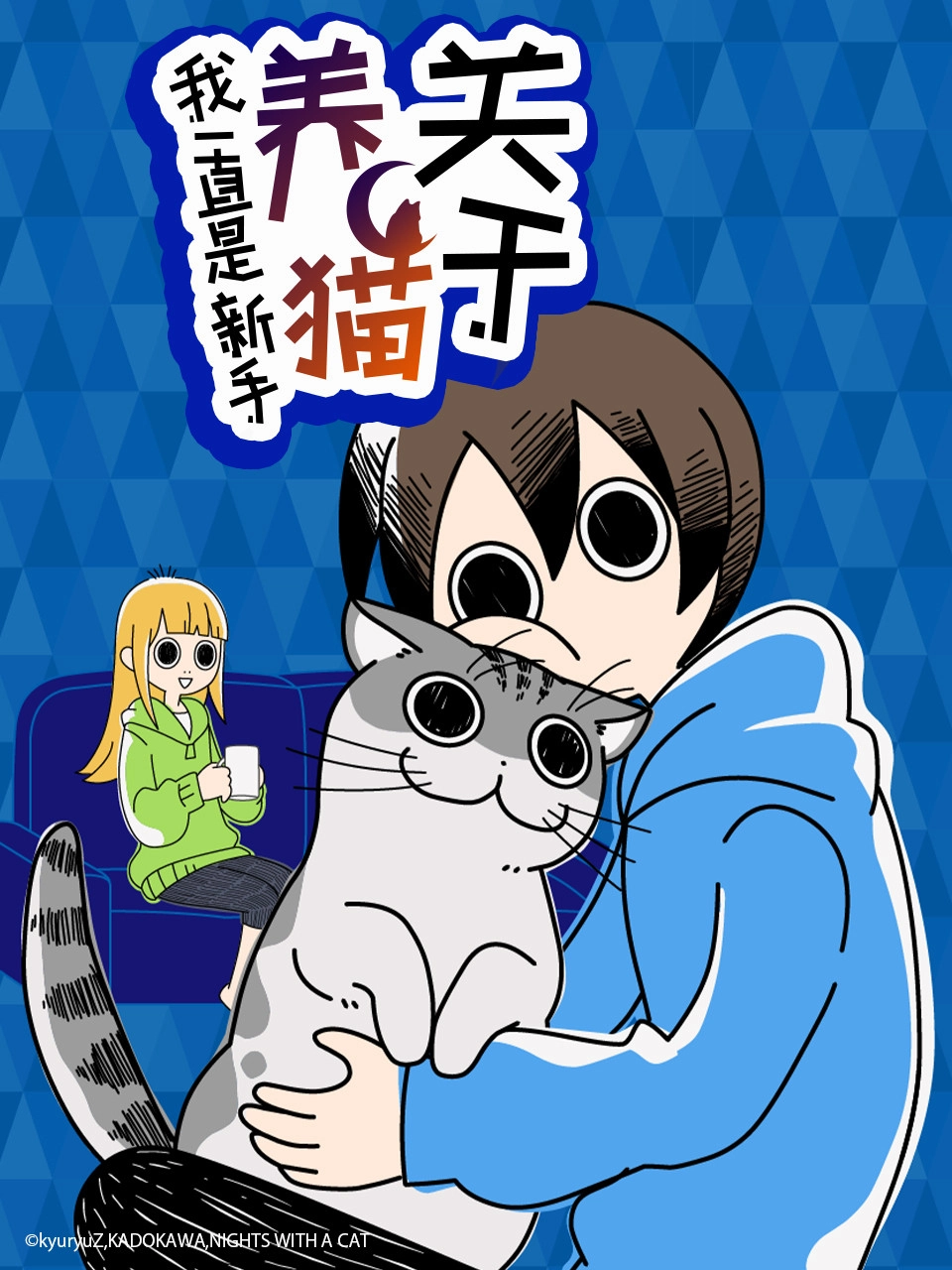 Nights with a Cat