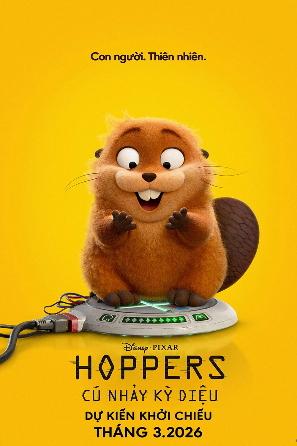 Hoppers