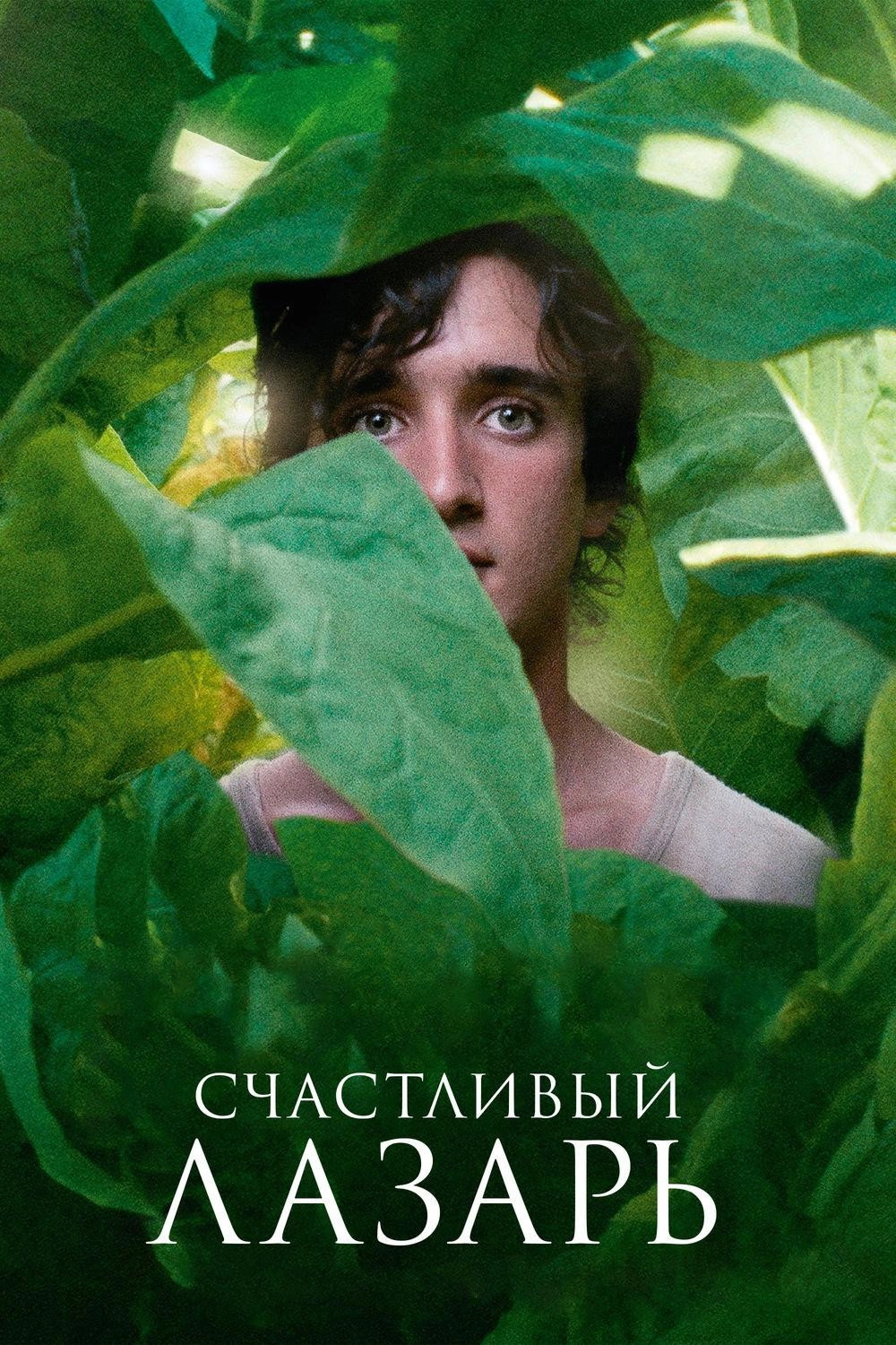 Happy as Lazzaro
