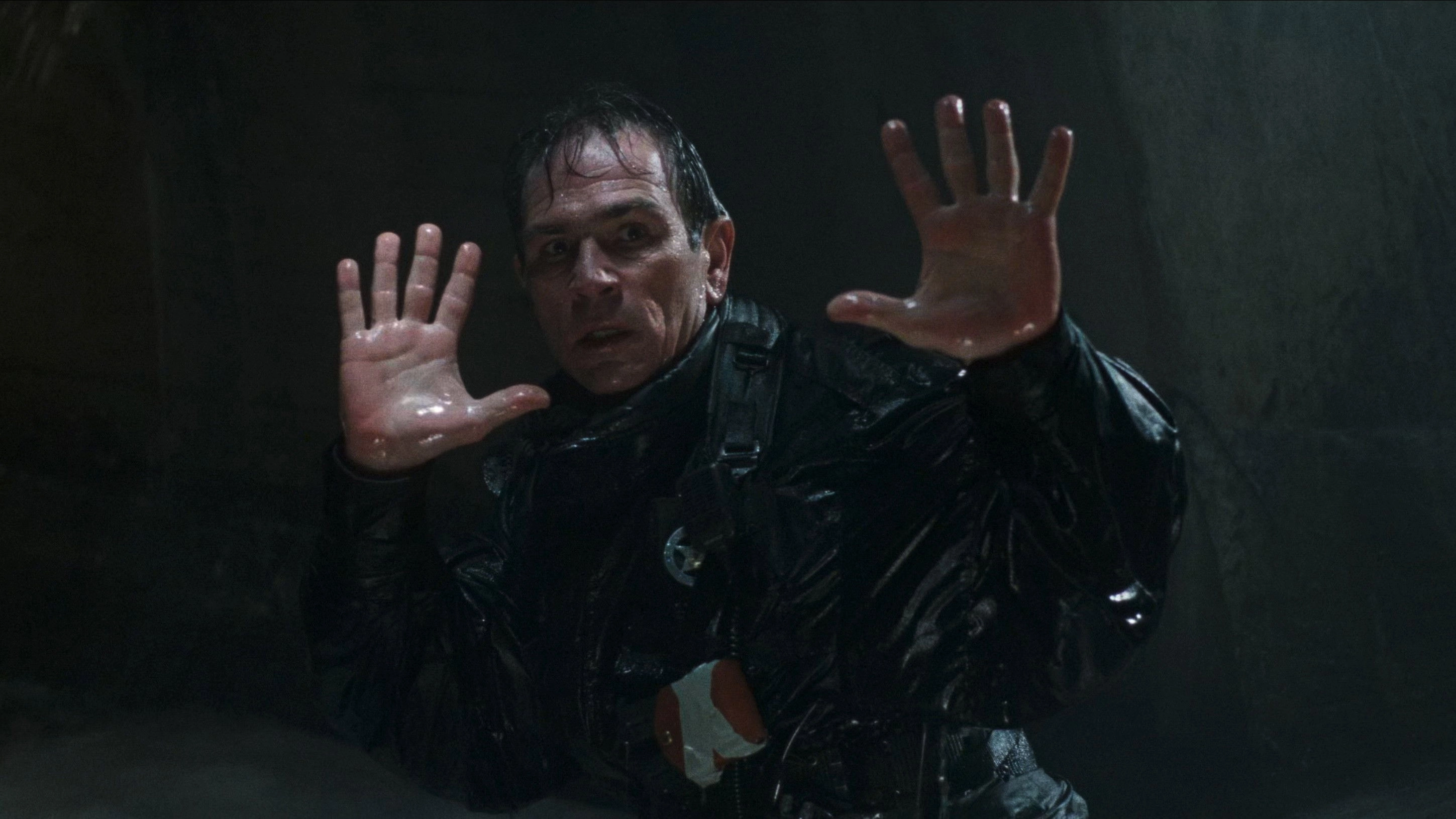 The Fugitive