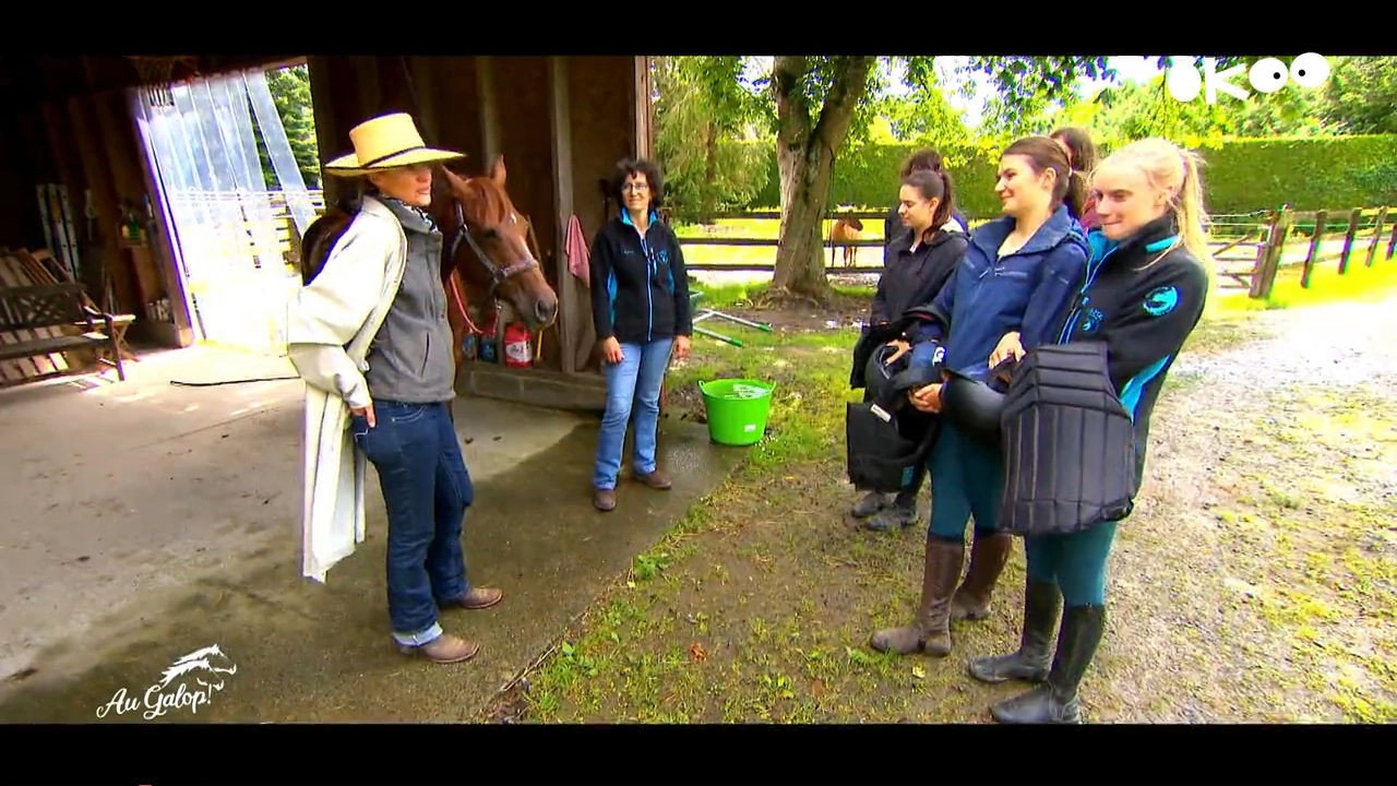 Au galop ! une saison à cheval