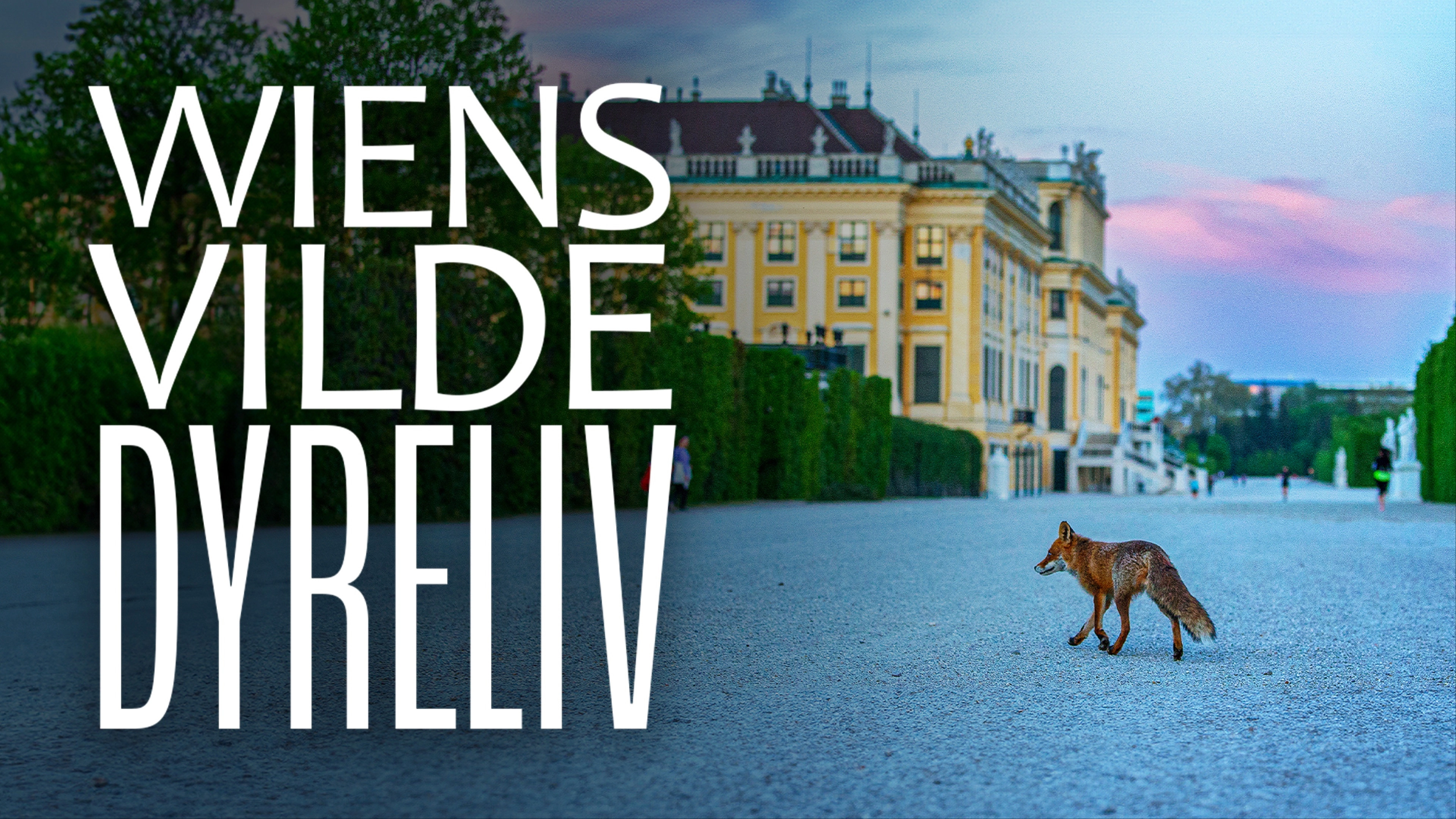 Wild Vienna
