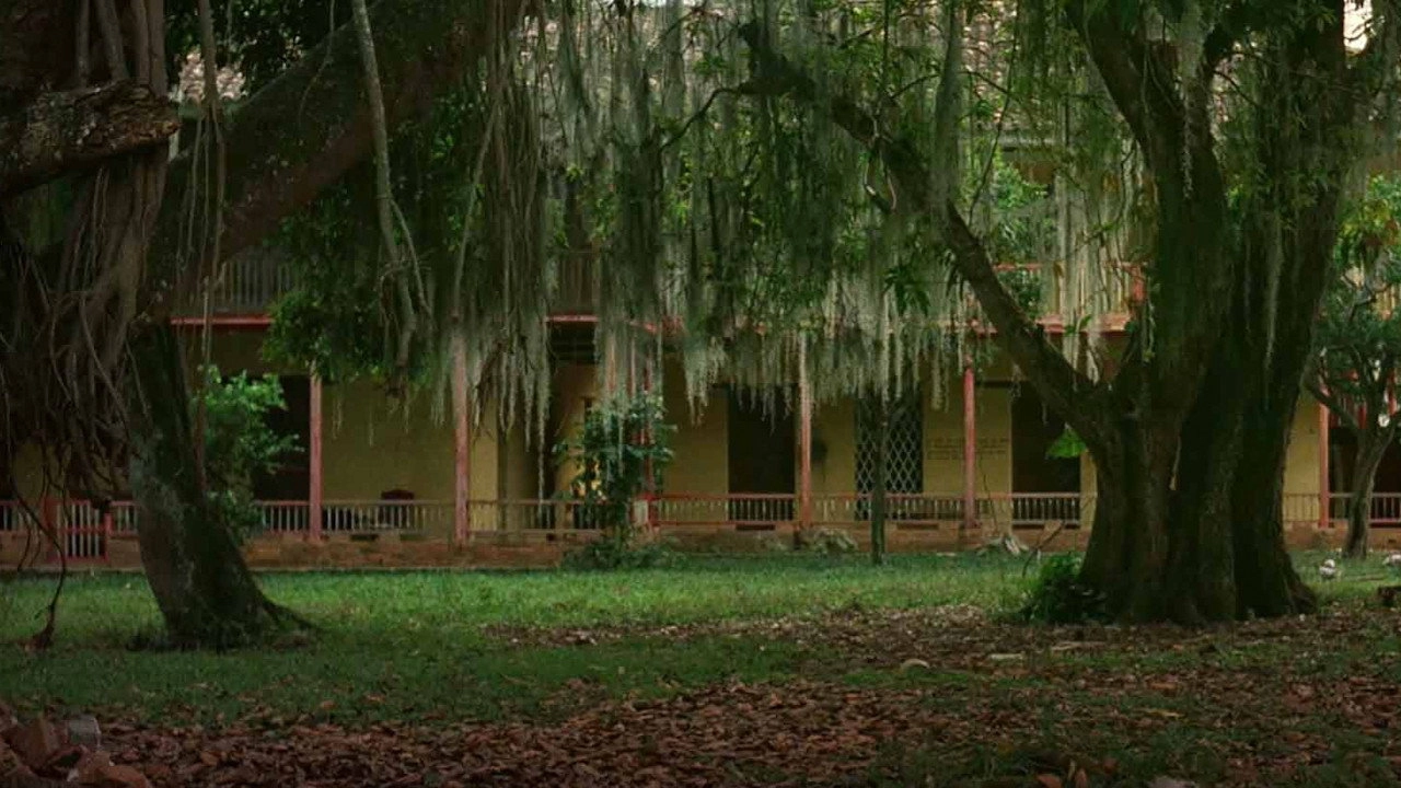 The Manor of Araucaima