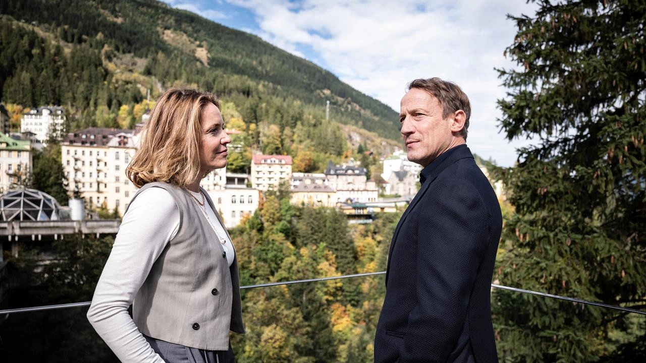 Der Geier – Freund oder Feind