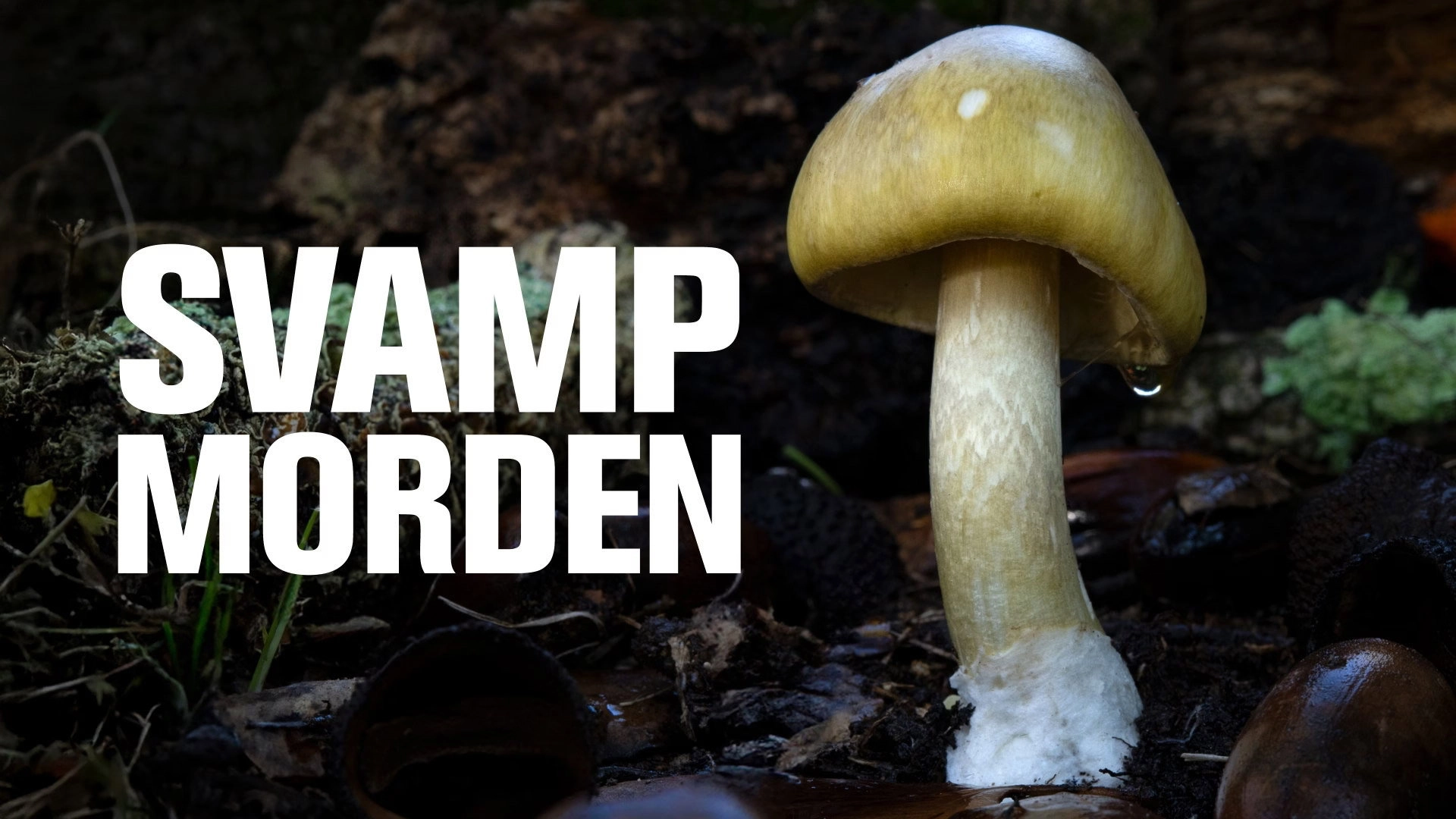 Revealed: Death Cap Murders