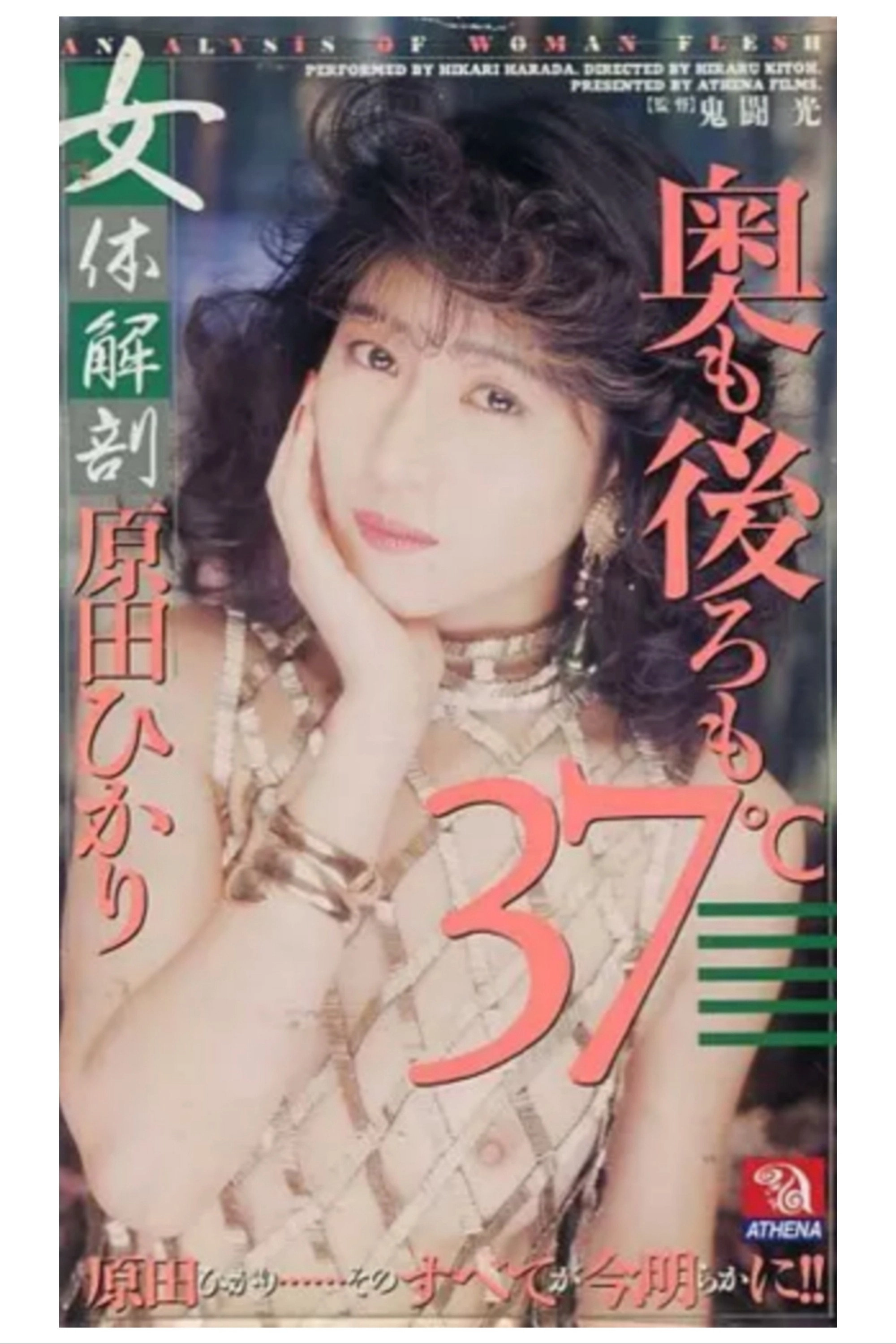 对岸的战争
