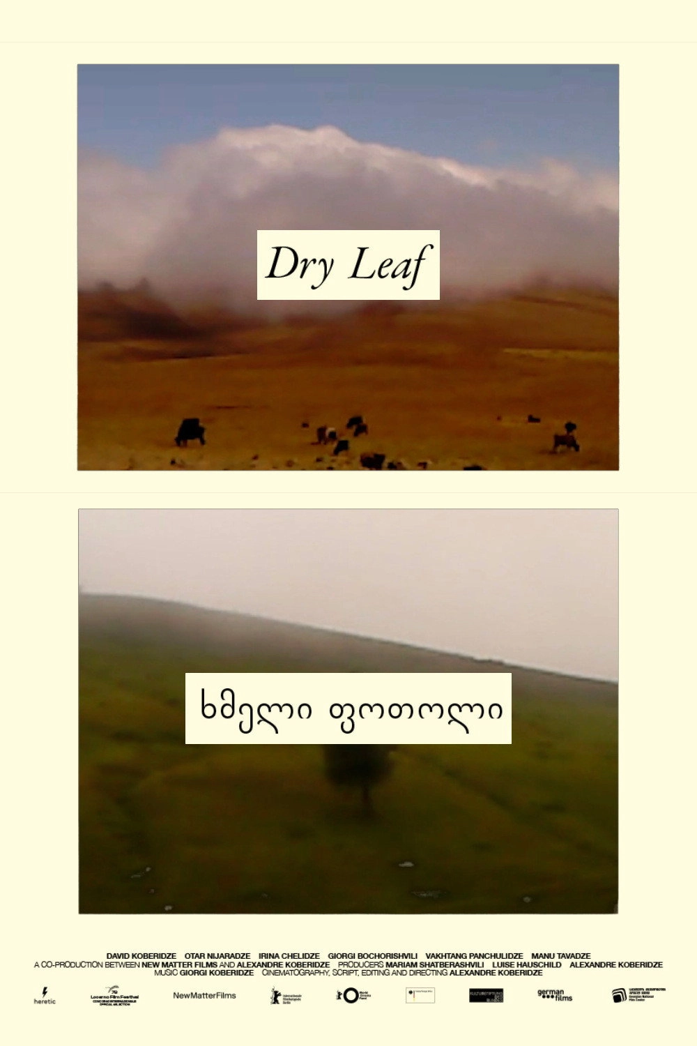 Dry Leaf