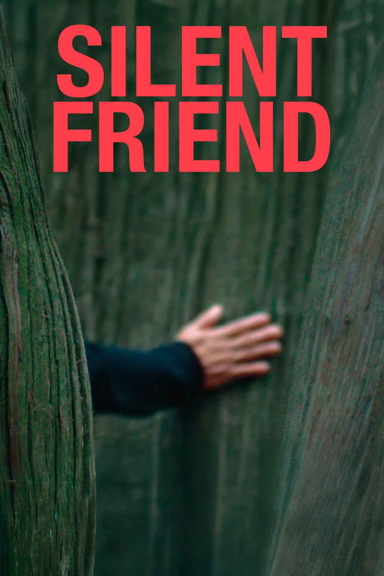 Silent Friend