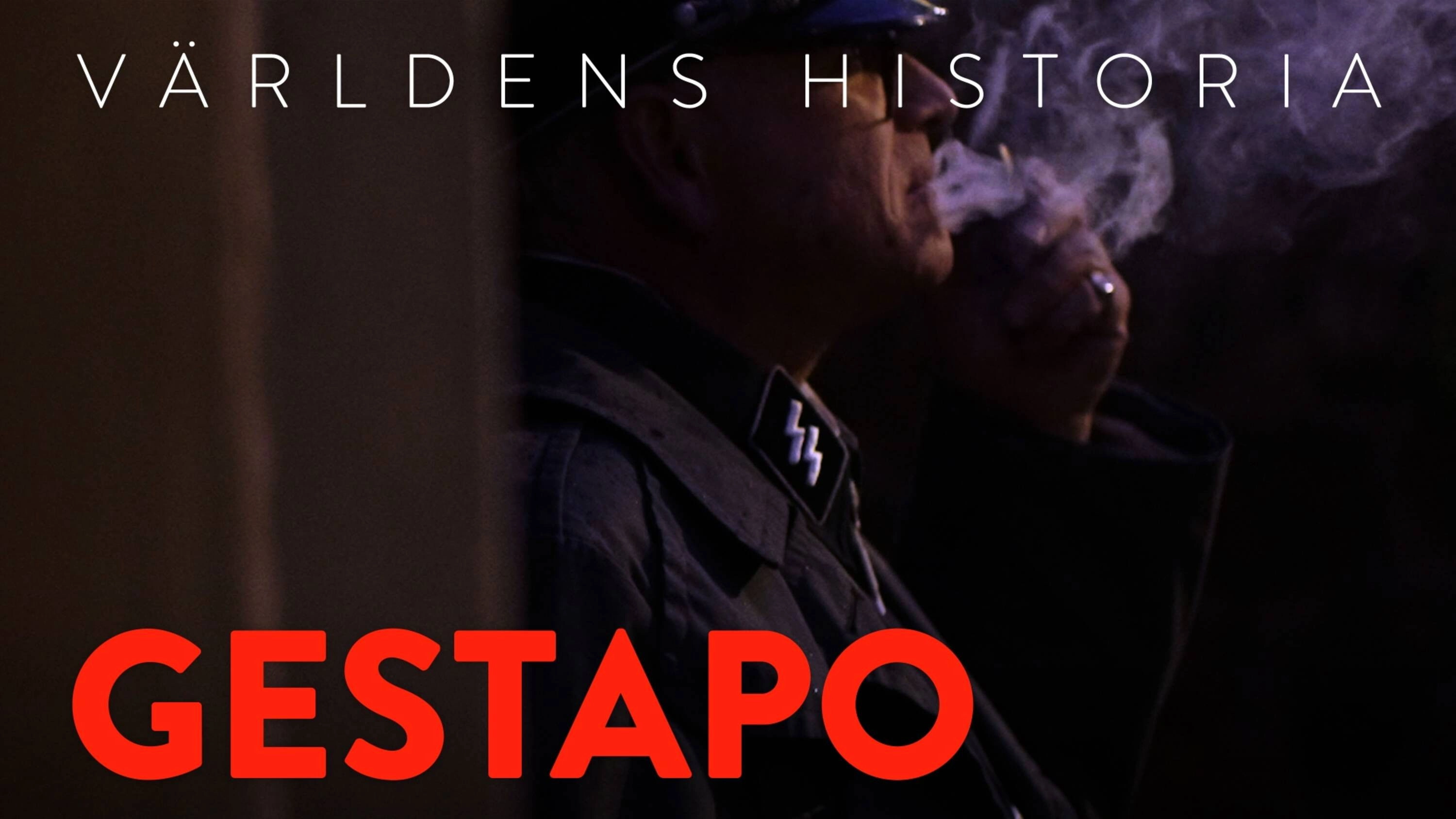 Gestapo: Hitler's Secret Police
