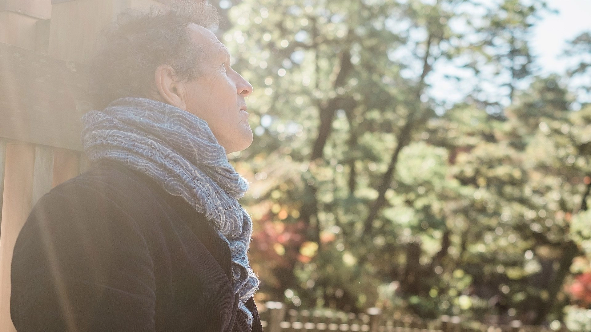 Monty Don's Japanese Gardens