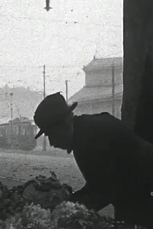 Documentary about Turin - First Postwar Period