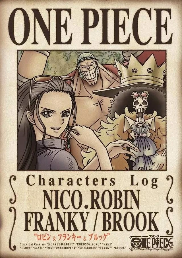 One Piece Characters Log
