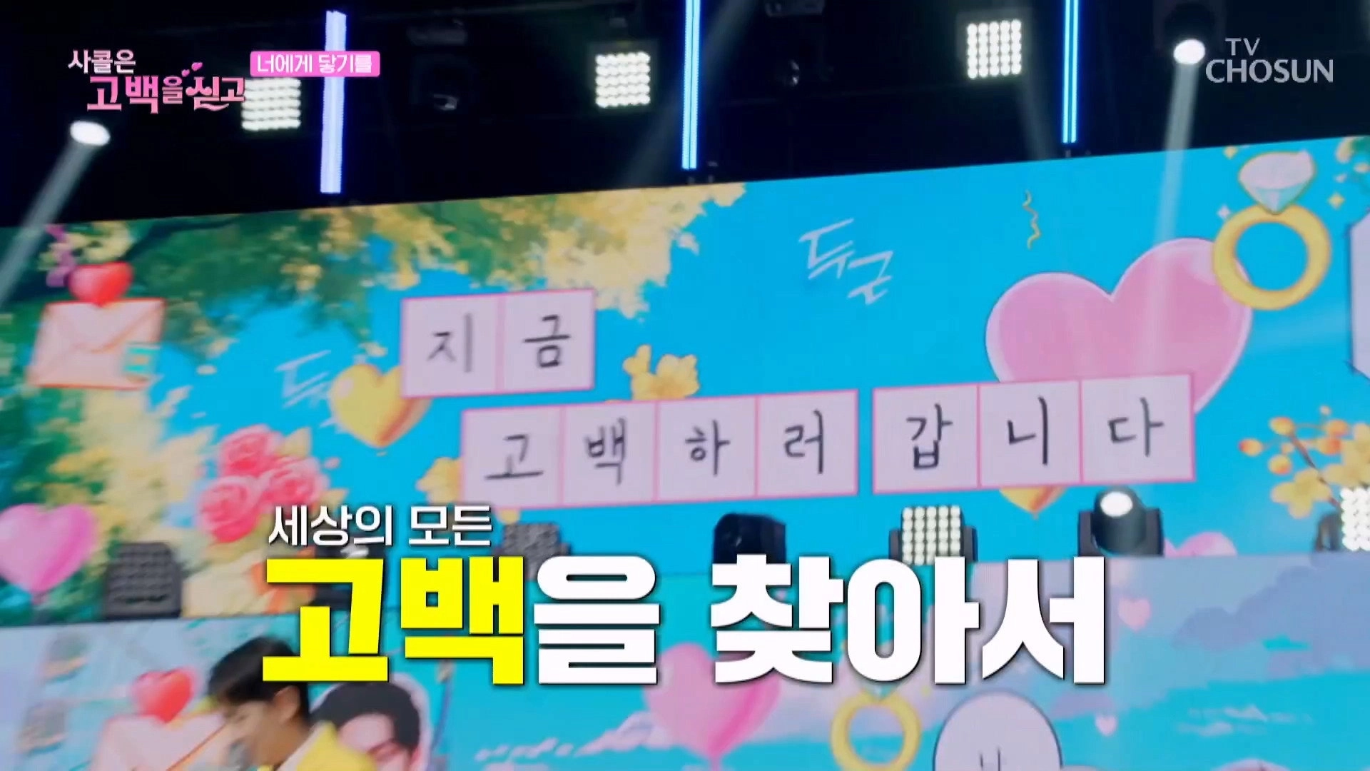 사랑의 콜센타 세븐스타즈