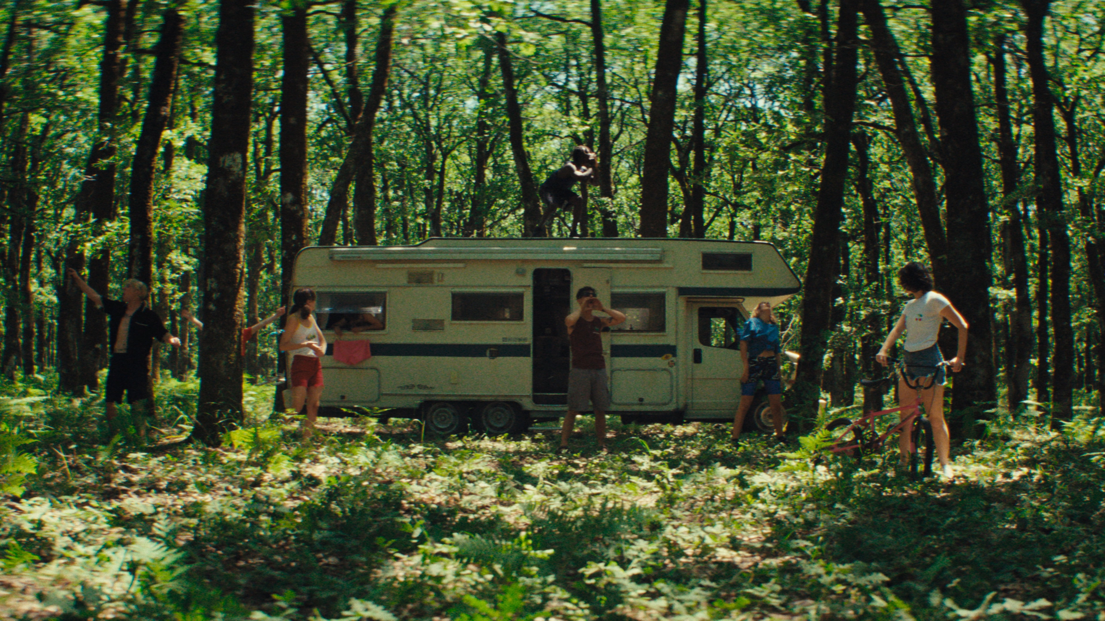 Our Wildest Days