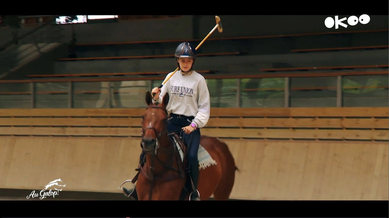 Au galop ! une saison à cheval
