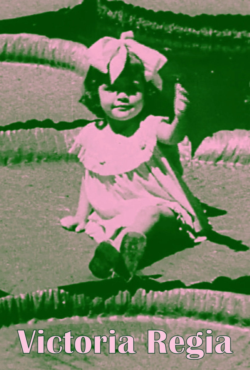 Victória Régia