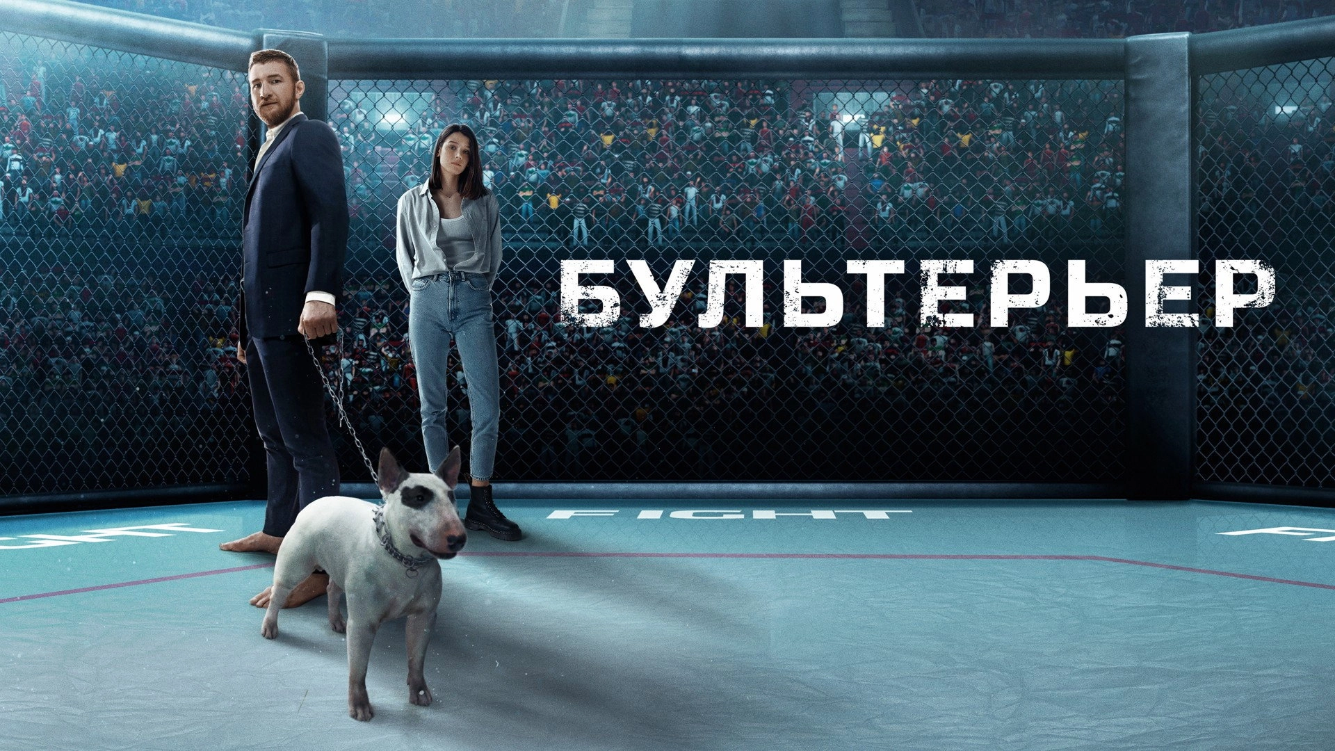 Bullterrier