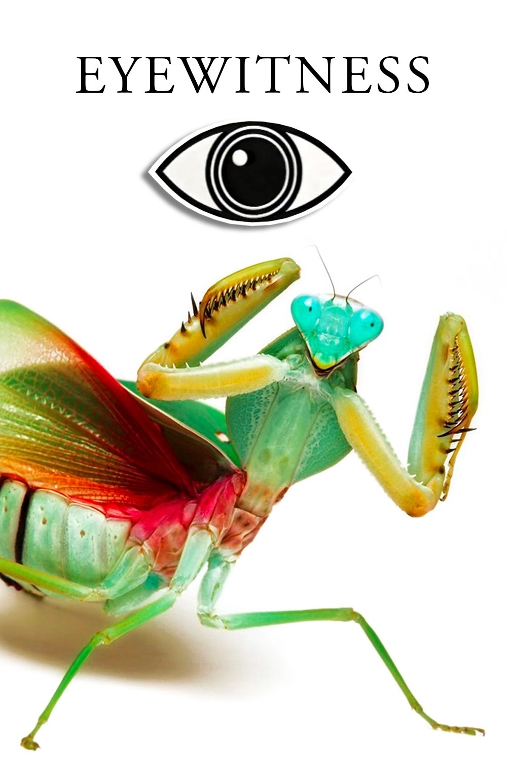 Eyewitness