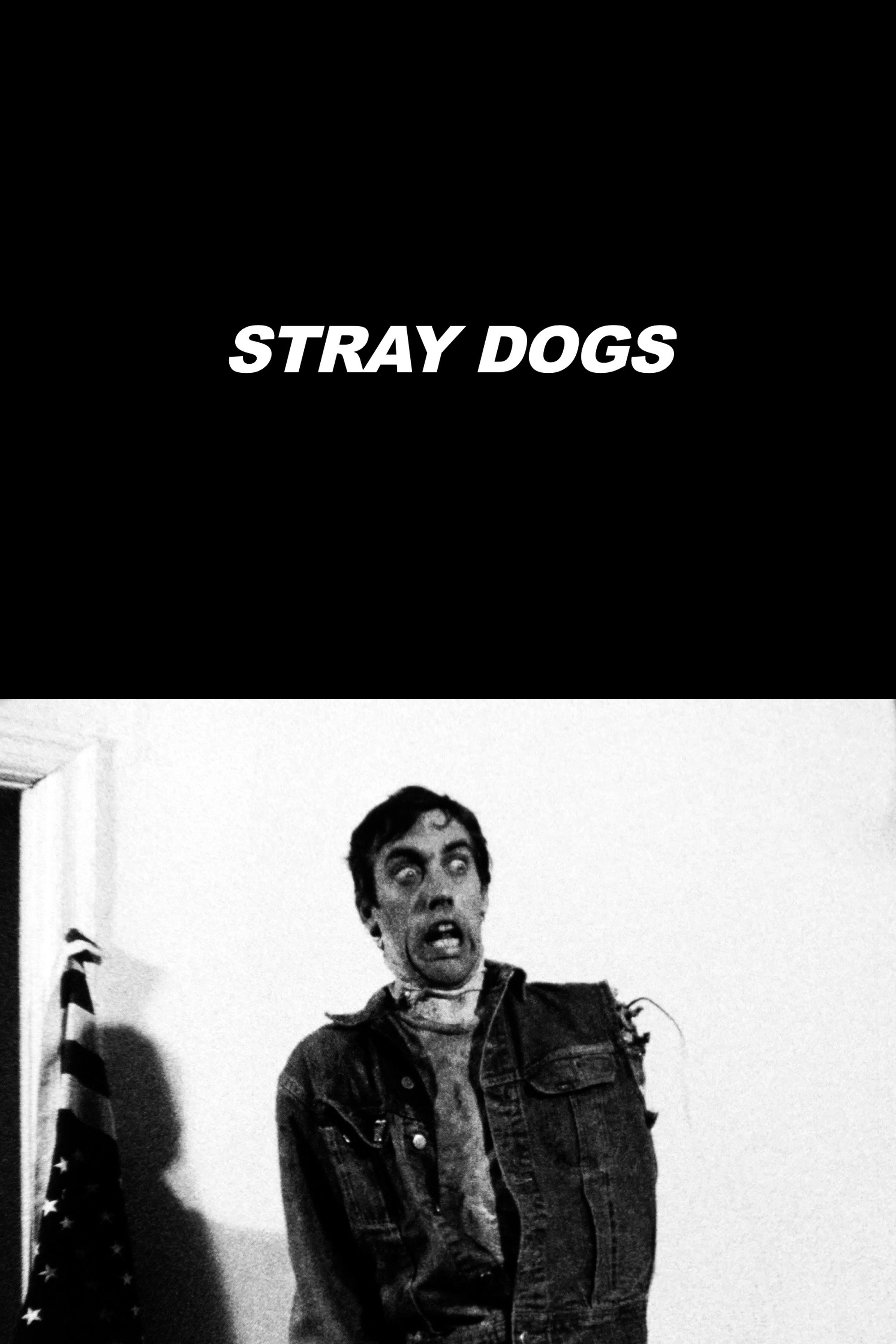 Stray Dogs