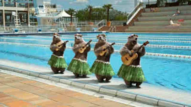 Les Marmottes
