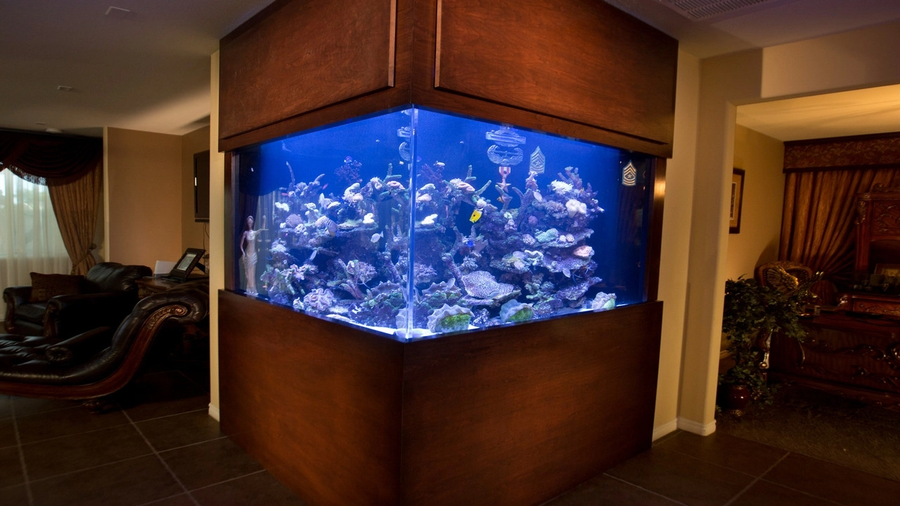 Tanked