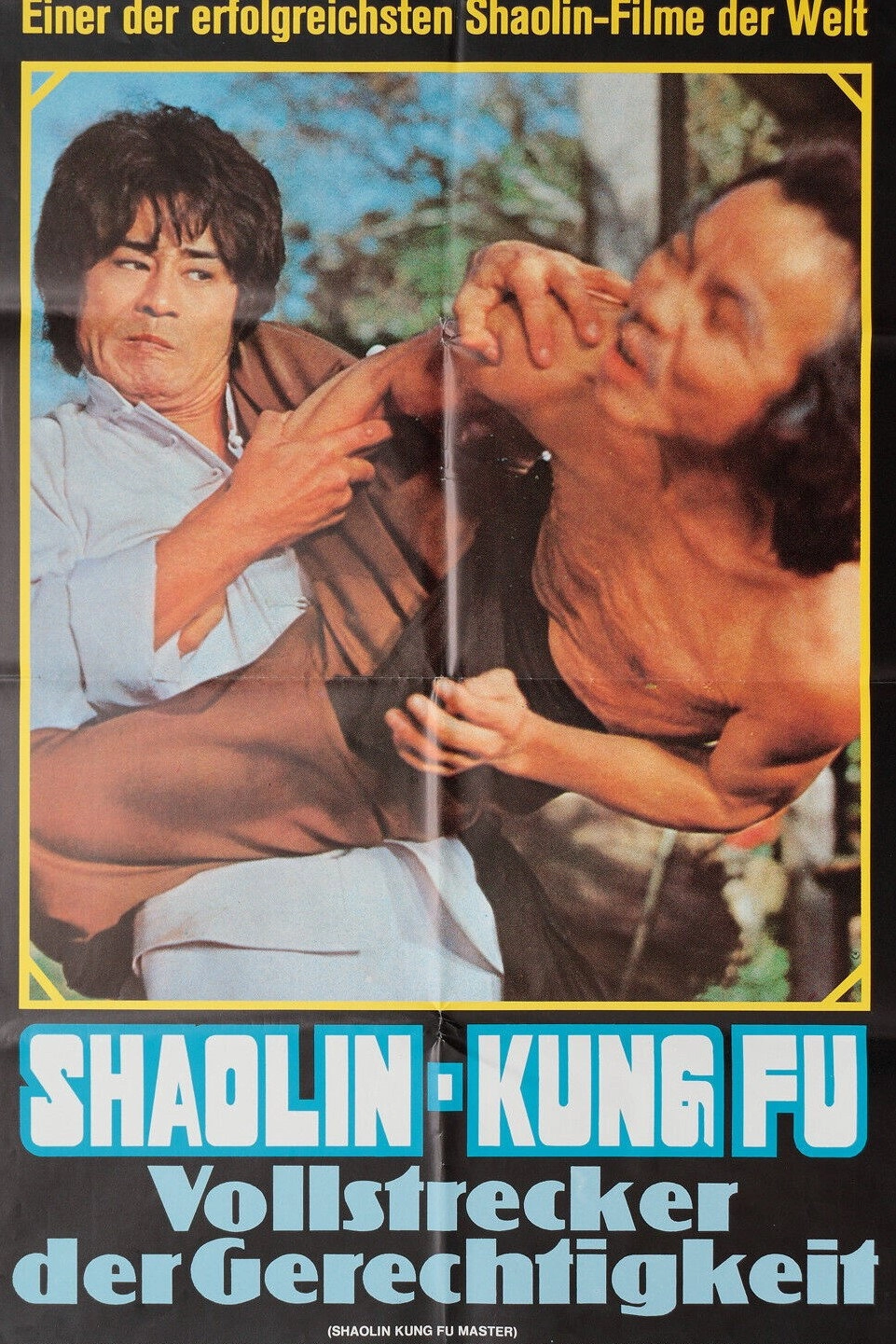 Shaolin Kung Fu Master