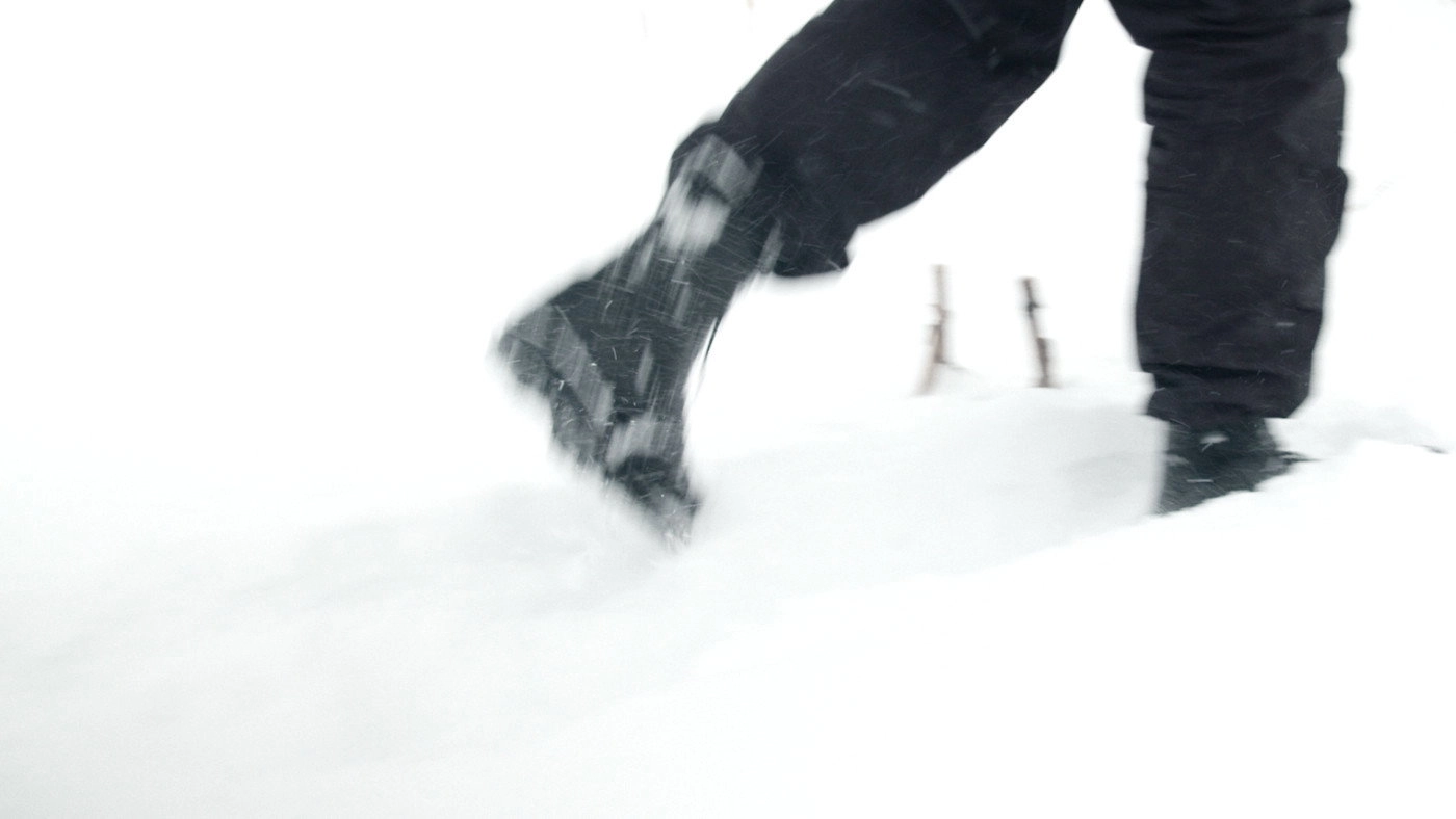 White Wasteland