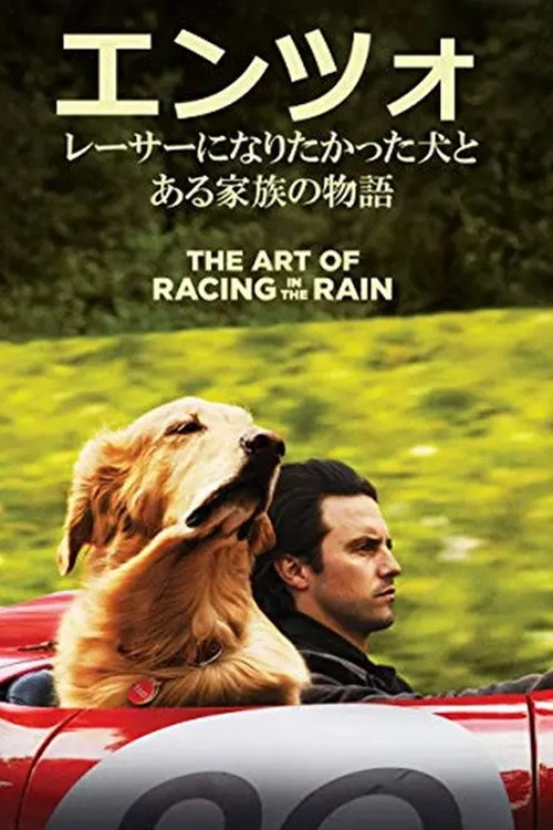 The Art of Racing in the Rain