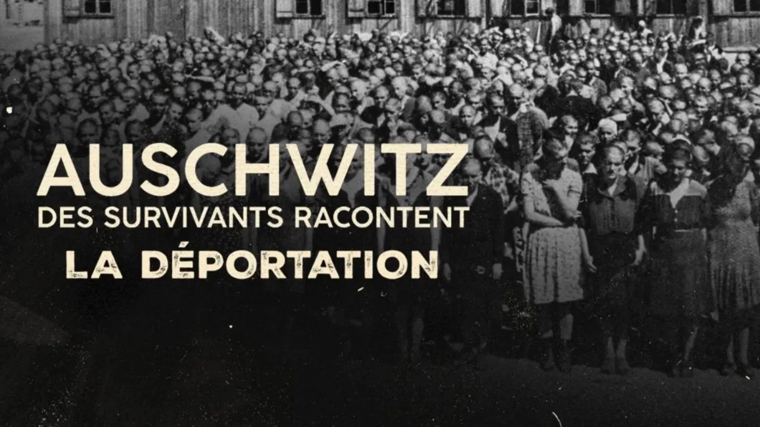 Auschwitz, survivors tell their stories