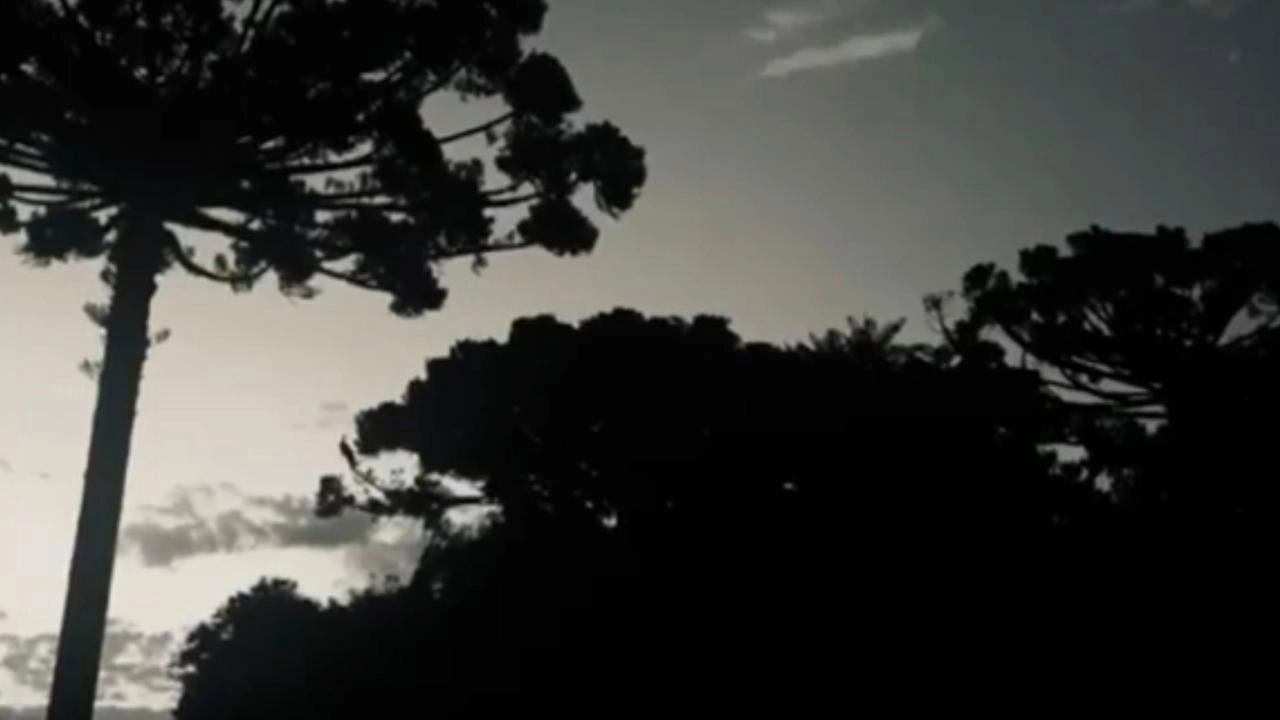 Sombra... Uma Parábola